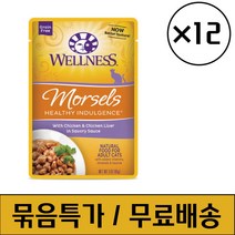 웰니스 캣 헬시 인덜전스 머셀 닭고기&닭간 파우치 85g x 12개