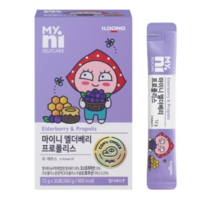 마이니 엘더베리 프로폴리스, 12ml, 30포