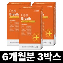 펫생각 데일리케얼 강아지 리얼 배도라지 기관지 영양제 120g (2개월분), 3박스