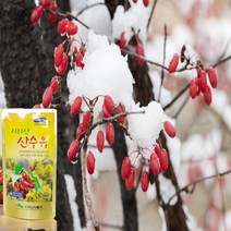 구례 산수유즙 산수유효능 130ml 30포