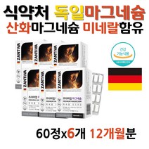독일 마그네슘 산화 마그네슘 미네랄 식약청 영양제 프리미엄 PREMIUM MAGNESIUM MG
