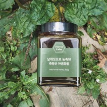 농장직영 포레스트캄 2022 천연꿀 숙성꿀 야생화꿀 (3사이즈), 150g