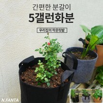 부직포 화분 식물 고구마 키우기 5갤런 30x25 블루베리 감자 고구마 모종 키우기 베란다 텃밭 흙 담기 화분, 3화분5갤런-브라운