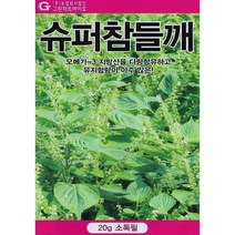 (씨앗) 슈퍼참들깨 - 종자 수확 및 들기름 생산용 들깨 씨앗 종자 - 소포장 - 20g