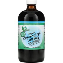World Organics 스피아민트 함유 액체 엽록소 474ml