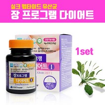 실크피브로인 장유산균 다이어트 코팅 장정착 유산균 분말 가루 정 알약형 장밀착유산균 차전자피 식이섬유 가르시니아 실크펩타이드 단백질 가수분해물 알로에 GMP HACCP 식약처인증, Qjsep0rl1