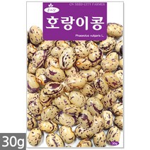 흰강낭콩 씨앗 30g - 네이비빈 강낭콩씨앗 강낭콩씨 콩씨앗 콩씨 씨 강남콩 주말농장 텃밭, 21_호랑이콩(30g)