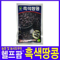 헬프팜 흑색땅콩 50립 종자 씨앗 검은땅콩 흑땅콩, 1개