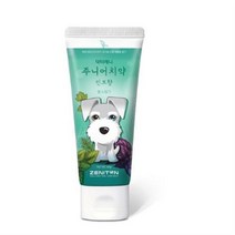 제니튼 주니어 치약 민트향, 27개, 60g