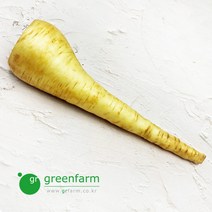파스닙 약300g