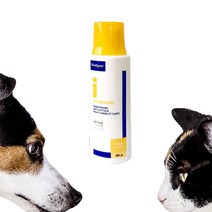 버박 파이오덤 강아지 고양이곰팡이피부병 세균 피부개선 약용샴푸200ml, 1개, 200ml