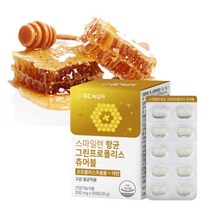 에브리데이 그린프로폴리스 항균 츄어블 구강건강 구강항균 씹어먹는 프로폴리스 플라보노이드 1일 1회 1정 총60정 약 두달분, 1통(60정)