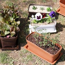 ohnew 아파트베란다화분 직사각형화분 플라스틱화분 옥상화분 도로 수경 로비, 브라운