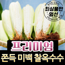 [최대 22cm 엄청난 길이] 강원도 찰옥수수 햇 미백 옥수수 흑찰옥수수 냉동 산지직송 못난이 특품 5개 10개 20개 30개 50개, 1-0) [특품] 미백 찰옥수수 5개