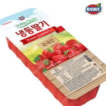 동서 리치스 밸리 냉동 가당딸기 1kg 딸기퓨레 스무디, 1개