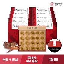 [천지양] 홍삼품은 녹용환 20환 x 10박스(총 200환)+쇼핑백, 단품, 단품