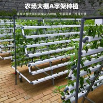 가정용 식물재배기 수경재배기 식물 재배기 흙재배설비 부품이 없는 가정 베란다 배관 수배식기 자동화 수경채소, 옵션01, 중간 정도
