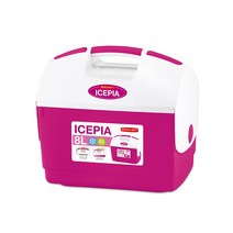 로이첸 아이스피아 8L/차박 아이스박스 캠핑쿨러 미니 아이스팩 보냉백 보냉가방 _0619EA, !D! 본상품선택