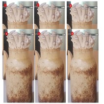 친환경 느타리버섯 배지 6개 무농약 버섯키우기 가정 유치원 어린이집 학교 학습용, 6개 묶음