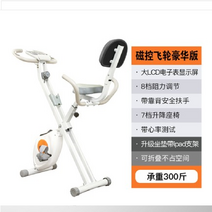 나혼자산다 박나래 사이클 실내 사이클 자전거 스피닝 유산소 운동 기구 헬스자전거, 오렌지 블랙등받이