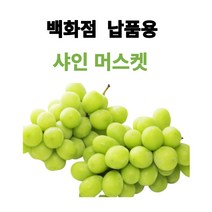 꿀품 당도선별 산지직송 샤인머스켓, 00. 7kg(백화점 납품용), 1개