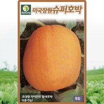 미국장원 슈퍼호박 씨앗 자이언트 슈퍼 호박 씨 종자 5립, 1개