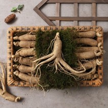 송순영 생산자의 인삼 선물세트 750g (12-15개)