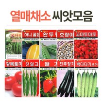 화분월드 열매채소 씨앗, 황금맷돌호박