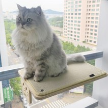 [펫502] 고양이 창문 캣타워 창문 해먹 캣워크 사각형 타원형 2TYPE, 아이보리