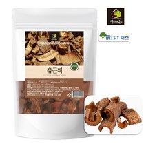 국산 느릅나무 껍질 유근피 효능 영천 코나무 왕느픕나무 유근피 뿌리 차, 1팩, 500g
