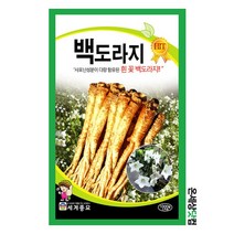 슈퍼도라지 1000립 / 도라지씨앗 도라지씨 종자 토속나물 주말농장 베란다텃밭, 1개