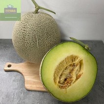 세론이 당도보장 세지 멜론 84D5, 3.5kg(3수)