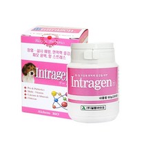 +[복스마켓]+_인트라젠 영양제 200정 애견비타민 개영양제 강아지+[BOKS_MARKET]+