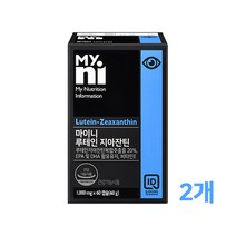 루테인 지아잔틴 복합 추출물 20% 눈 영양제 RTG 알티지오메가3 눈에좋은 마리골드꽃 헤마토코쿠스 빌베리 결명자 구기자 홍화씨유 당근 황반 눈건조 눈노화 청소년 직장인 추천, 2p, 루테인 1000mg*60캡슐