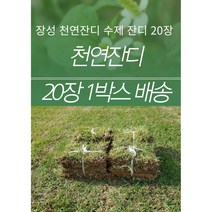 천연잔디 (전남 장성군)부분잔디/20장/롤잔디2장/박스포장/무료배송, 60cm40cm롤잔디2장