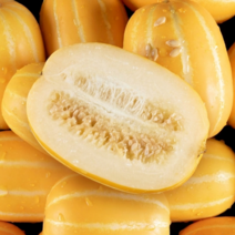 [시즌마지막초특가] 50박스한정수량 꿀참외