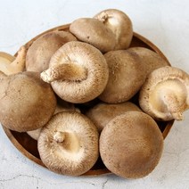 광헌팜 생표고버섯 1kg/2kg/4kg, 표고버섯 못난이 1kg