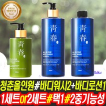 청춘 올인원 바디 워시 로션 1세트 2세트 택1 냄새제거 미백 주름개선 2중 기능성 클렌저