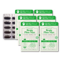 포스파티릴세린 포스타디딜세린 70대 명절선물 비타민 포스파디딜세린 징코플러스 식약처 인정 두뇌 포스파티딜기 분말 두뇌 건강 포스타딜세린 포스파티세린 플러스 피에스 60대 수험생 가, 60캡슐, 6개