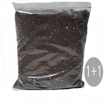 트리앤 향기나는식물 천리향 (꽃x) 동백(흑향) 만리향 레몬나무 천리향나무 천리향식물 야생화, 08. 1+1 식물이 잘자라는 상토흙 1개