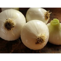 [띠앗농장]달달한 제주 조생 양파 햇양파 5kg/10kg[산지직송], 양파5kg(미니양파:소)