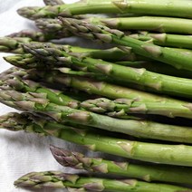 [산정] 싱싱한 생 아스파라거스, 생 아스파라거스 500g