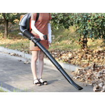 엔진 블로워 4행정 브로와 낙엽 먼지 흡입 송풍기, 2행정 EB9510 10마력