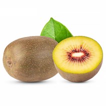 제주 루비 골드키위 중소과, 1개, 1.3kg