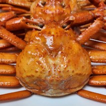 연지홍게 포항 구룡포 홍게 자숙 3kg