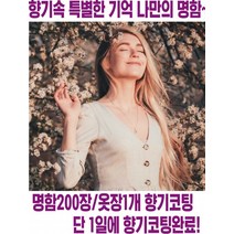 마이비아 향기명함 판촉물 차량걸이형, 살균칩