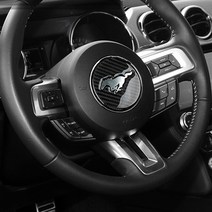 포드 머스탱 실내 카본 인테리어 몰딩 패널 엠블럼, 17. 패들쉬프트 (2P)