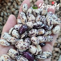 식탐대첩 22년 국내산 호랑이 강낭콩 1kg, 1