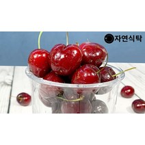 [자연식탁]칠레산 고당도 프리미엄 생체리 5kg 큰사이즈(9.5row), 단품