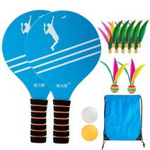 피클볼 피크 패들 라켓 세트 pickleball 공 새로운 크리켓 비치 테니스 배드민턴 탁구 셔틀콕 정원 열린 간 원 야외, 푸른